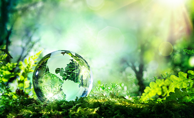 Abstract image of green globe on forest floor